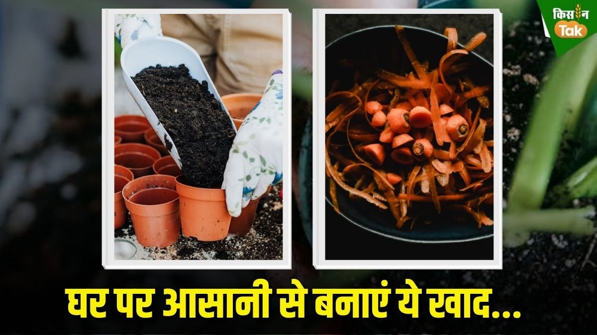 home fertilizer