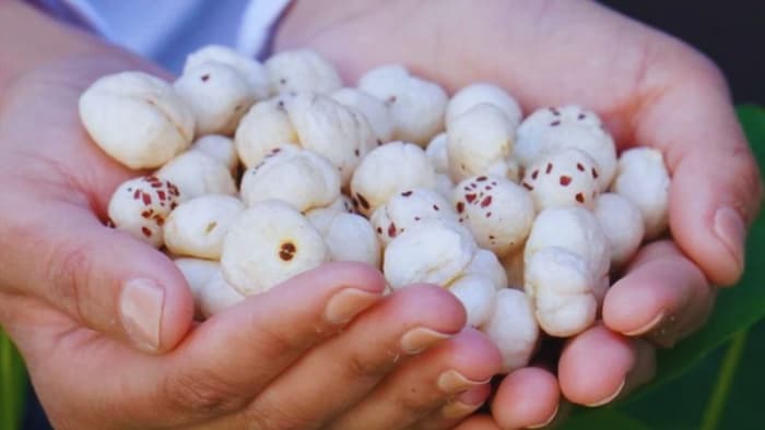 मखाने को मिला नया 'पासपोर्ट नंबर'