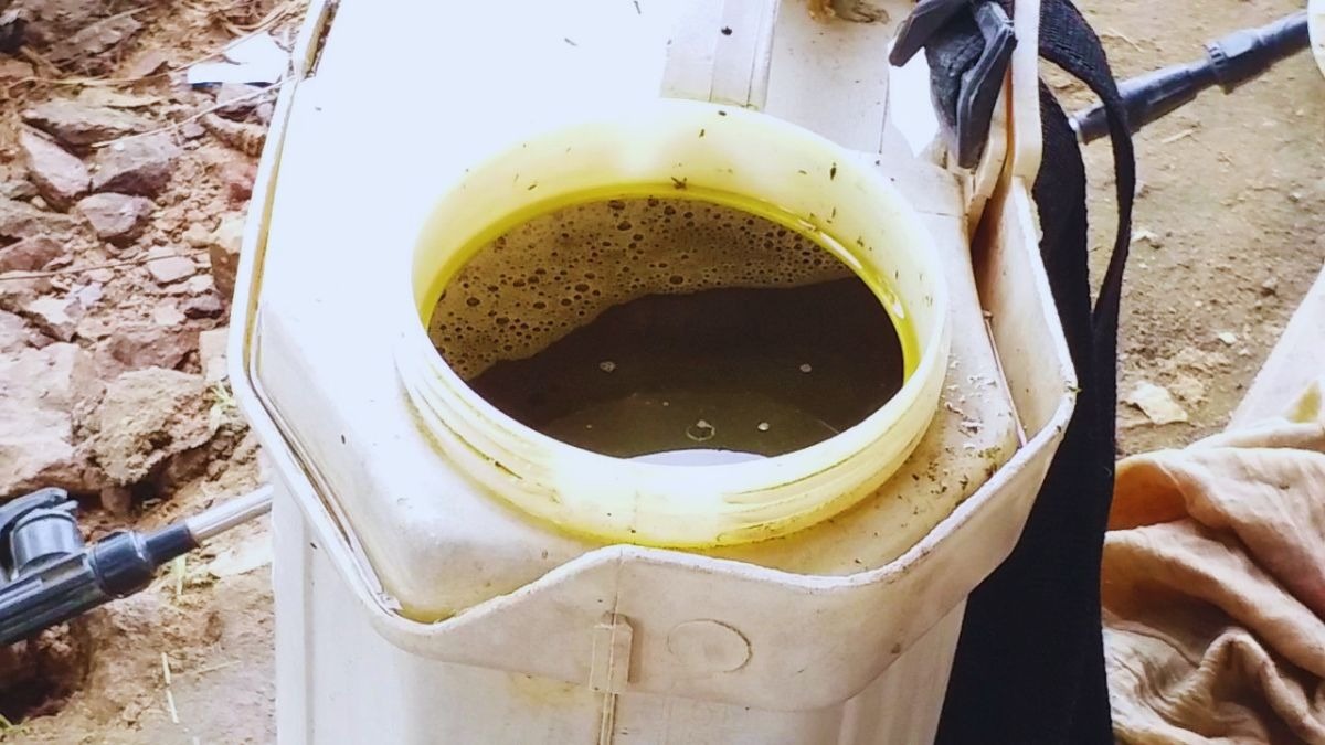 कीड़ों का नाश करेगा ये अस्त्र
