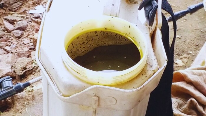 कीड़ों का नाश करेगा ये अस्त्र