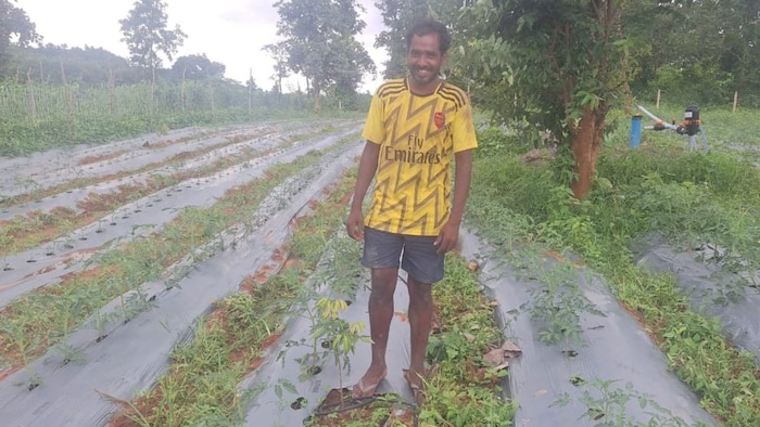 Koriya Farmers adopt Horticulture