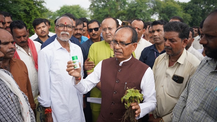 केंद्रीय कृषि मंत्री शिवराज सिंह चौहान ने रायसेन के खेतों का किया औचक निरीक्षण
