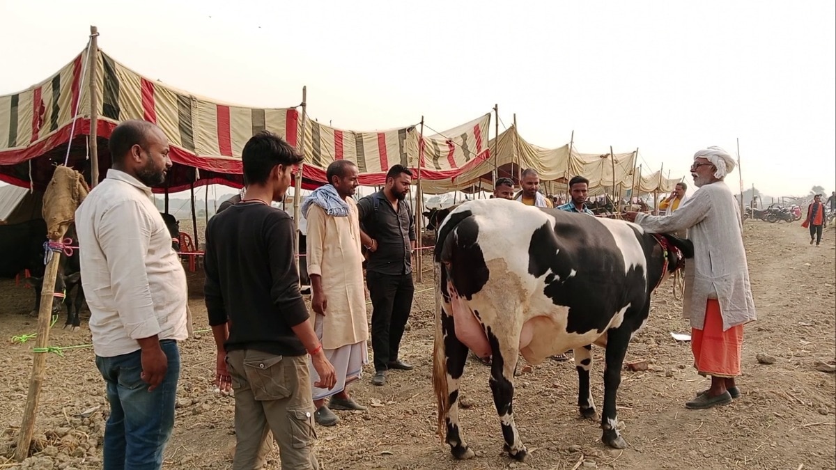 गांव की गाय से बढ़ेगी पशुपालकों की आय, जानिए क्या है योगी सरकार और पतंजलि का प्लान