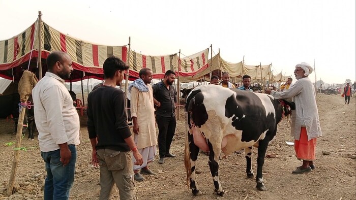 यूपी में आत्मनिर्भर और सशक्त होंगे किसान (फोटो- सोशल मीडिया)