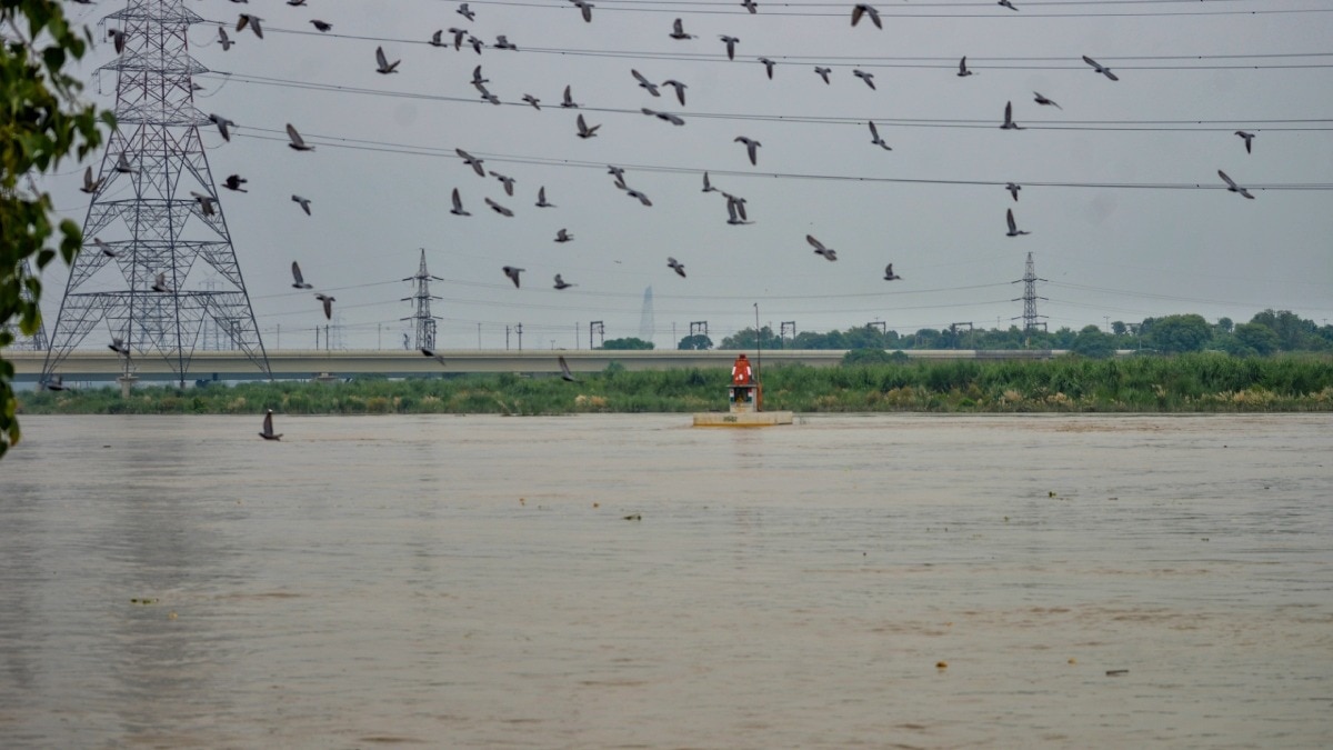 yamuna flood news 
