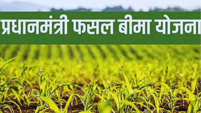पीएम फसल बीमा योजना (PM Crop Insurance)