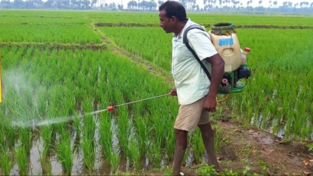 nano urea plant
