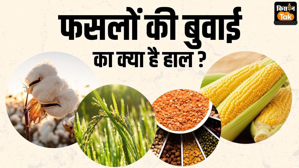 जायद फसलों का बढ़ा रकबा
