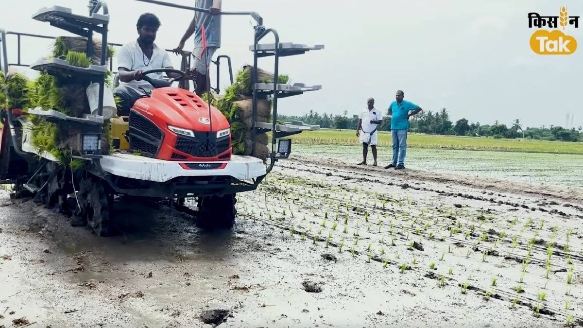 कुबोटा राइस ट्रांसप्लांटर KA-6: कम समय में अधिक उपज, स्मार्ट खेती का नया तरीका