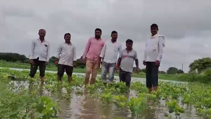Beed Crop submerged farmer protest