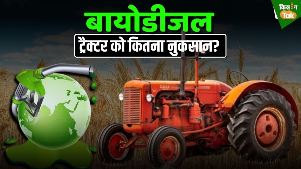 Biodiesel 