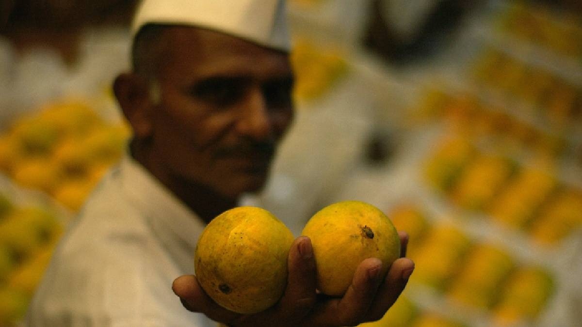 अल्फोंसो आम