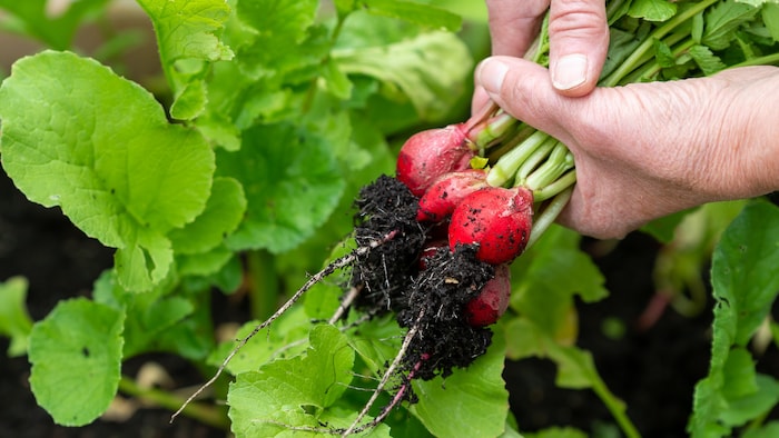 Representational Image: Freepik