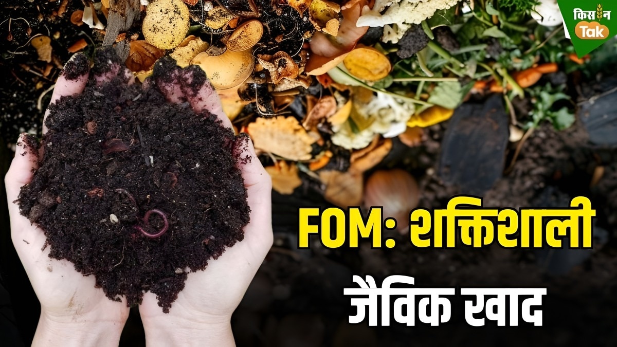 organic manure