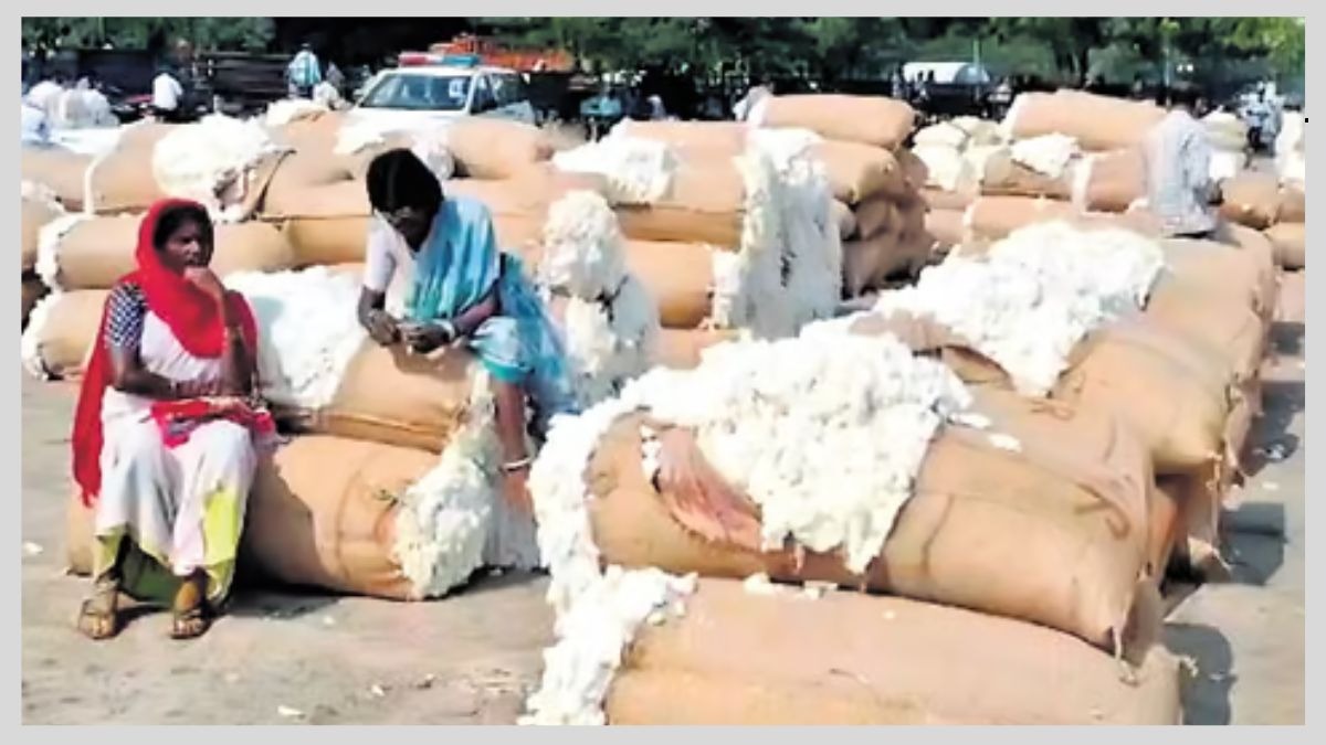 Cotton Mandi Price