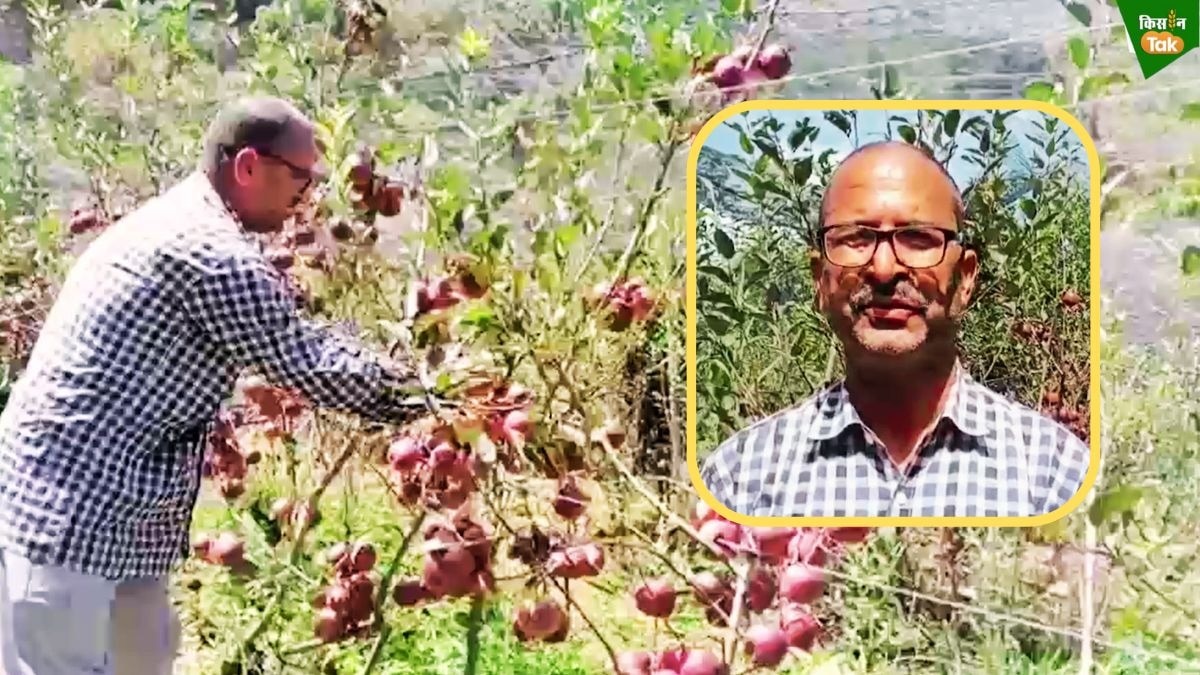 bageshwar farmer