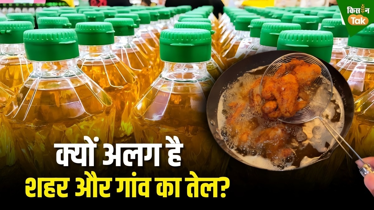 edible oil imports