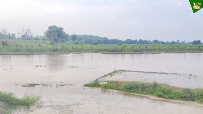 Punjab Flood