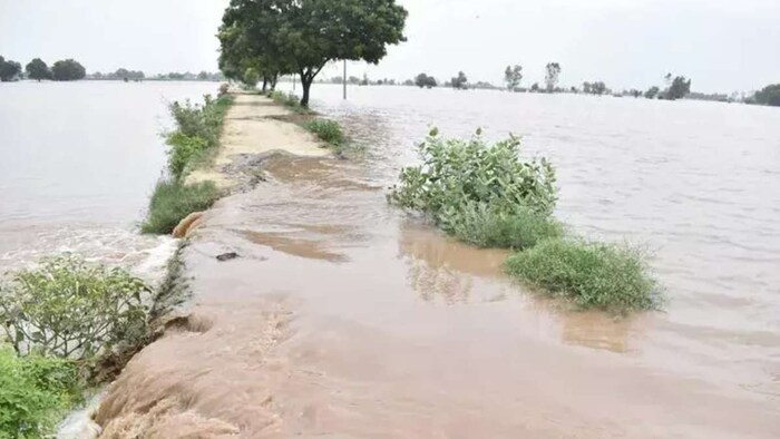 flood punjab