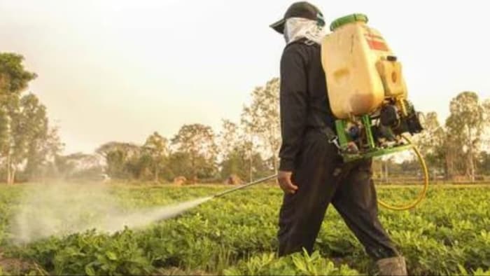 spraying pesticides on crops