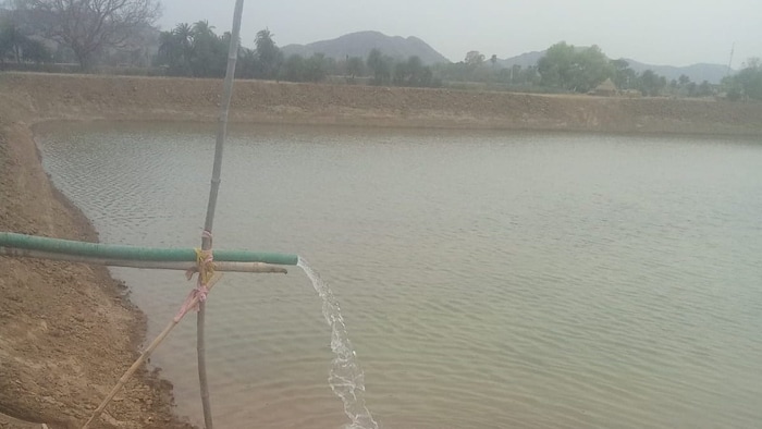 अब सरकार करेगी मछली पालकों की मदद