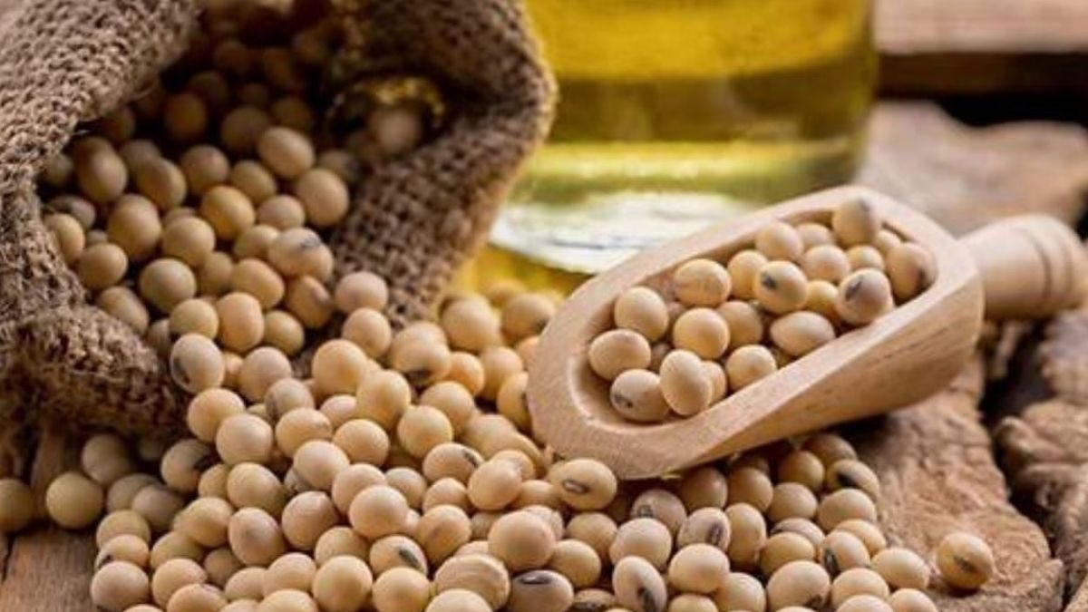 सोया तेल को लेकर बड़ी खबर