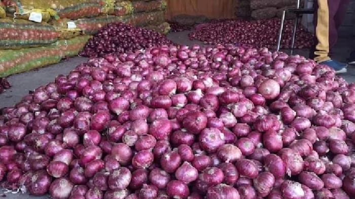 Onion Mandi Rate