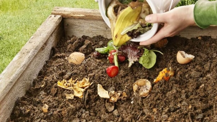 घर में आसानी से बनाएं खाद