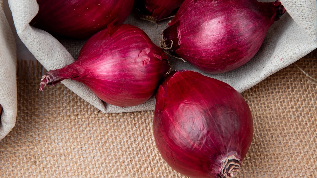 Onion Import Duty  