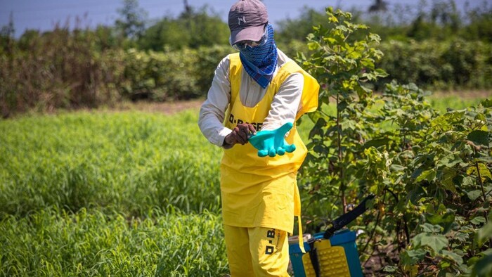 हर्बिसाइड्स और नेचुरल प्लांट प्रोटेक्शन में बढ़त