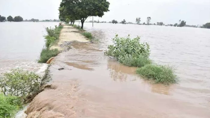 flood punjab