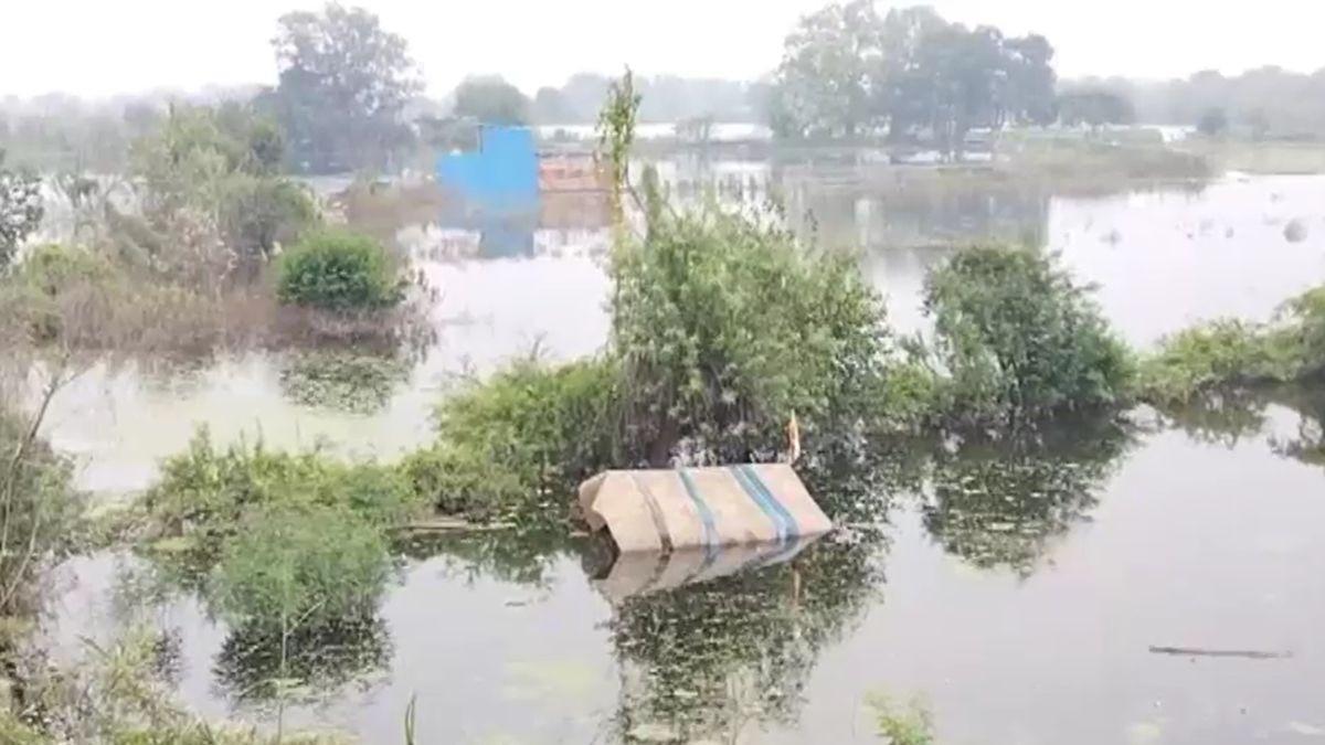 बाढ़ में किसानों की फसलें डूब गईं