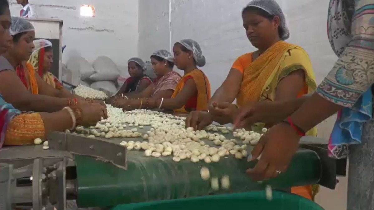Makhana farming