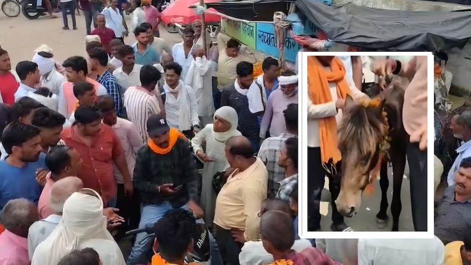 खाद की किल्लत से परेशान किसानों ने किया सड़क जाम, गधे को माला पहनाकर जता रहे विरोध  खाद की किल्लत से परेशान किसानों ने किया सड़क जाम, गधे को माला पहनाकर जता रहे विरोध