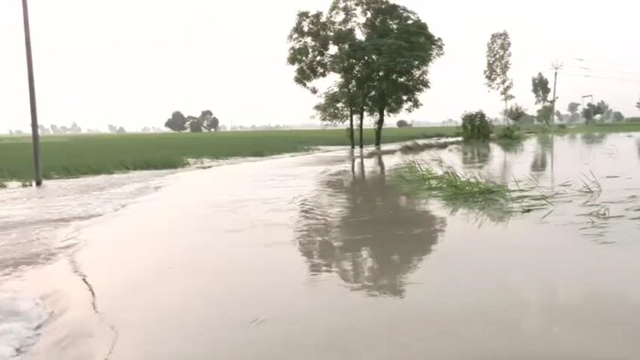 Punjab Flood News