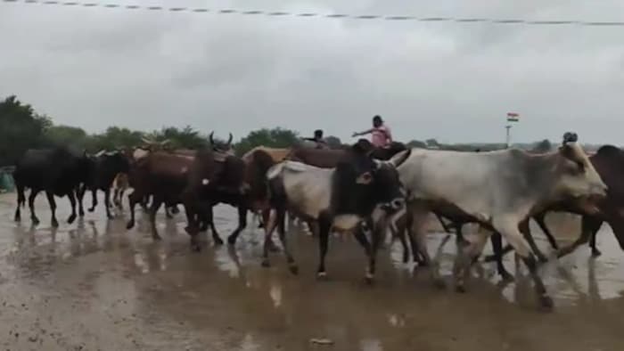 विशेष निगरानी टीम तैनात. (ITG)