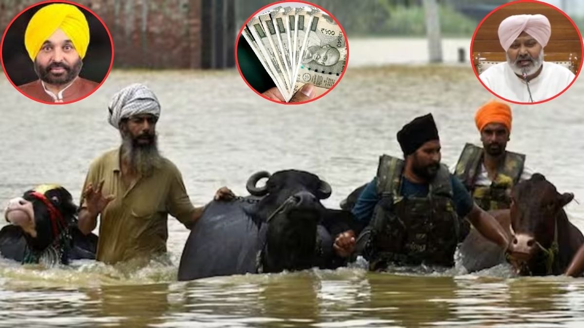 Flood in Punjab