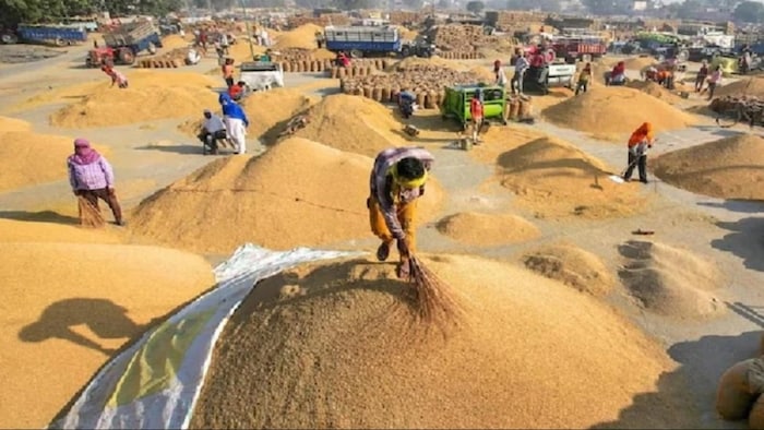 Govt to rise paddy procurement