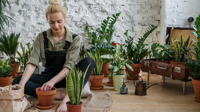 Gardening is Stress Buster