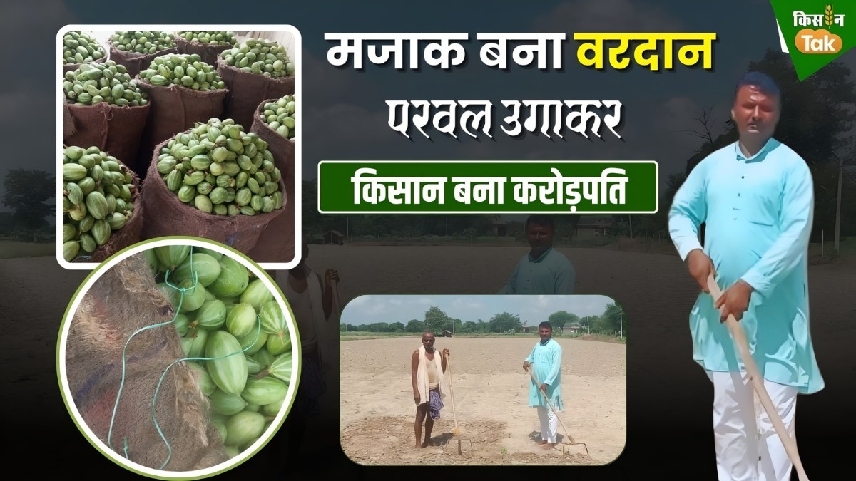  गोरखपुर जिले के चौरीचौरा तहसील के पुरनाहा गांव के किसान सागर यादव 