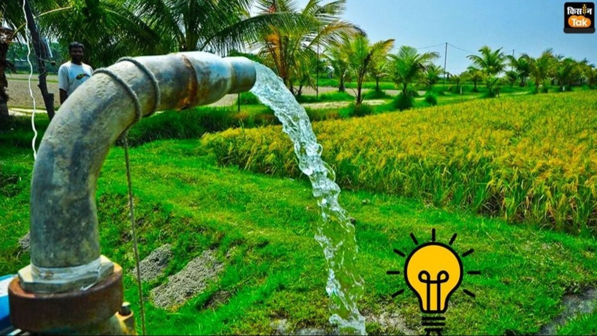 Maharashtra farmer Free Bijli