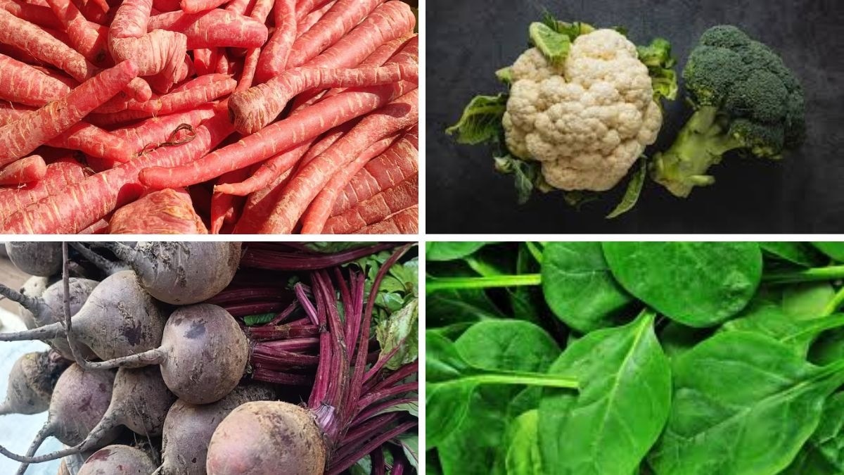 Vegetable Farming in October