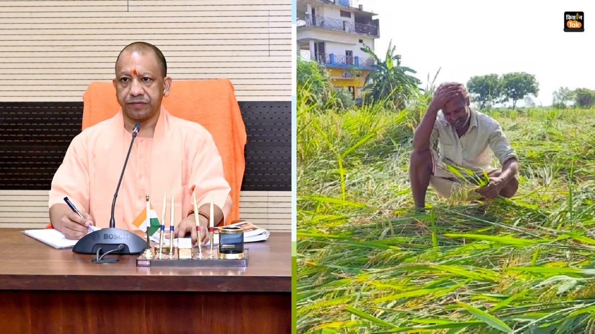 किसानों की बची फसलें भी बाढ़ के प्रकोप से तबाह हो गई हैं.