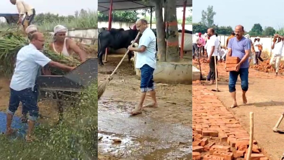 गौसेवक अफसर