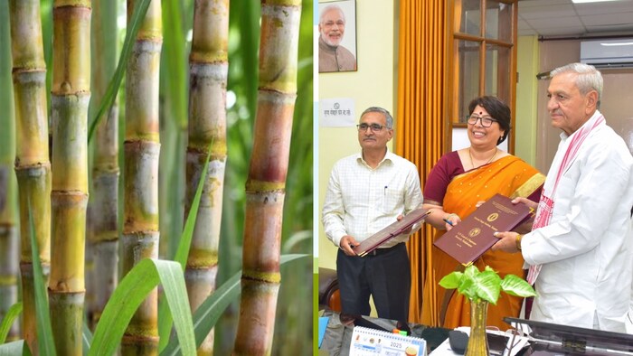 प्रदेश के गन्ना विकास एवं चीनी उद्योग मंत्री लक्ष्मी नारायण चौधरी की मौजूदगी में हुआ एमओयू