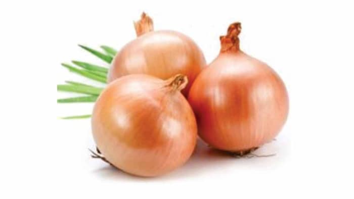 ALFR Onion