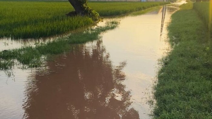 फसल नुकसान का खतरा