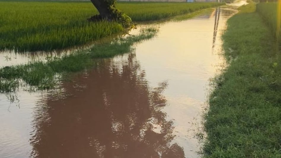 हरियाणा में घग्गर नदी खतरे के निशान के पार, किसानों को सता रहा फसल नुकसान का खतरा हरियाणा में घग्गर नदी खतरे के निशान के पार, किसानों को सता रहा फसल नुकसान का खतरा