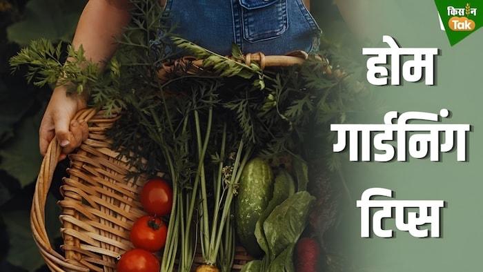 home gardening tips