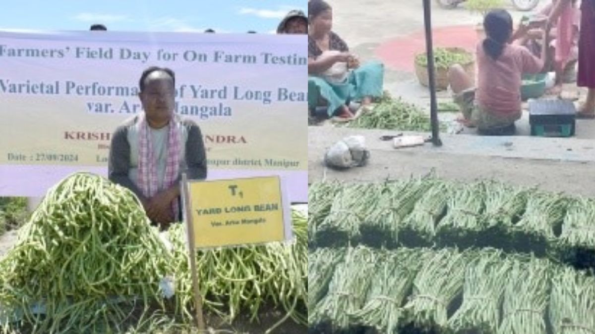 Success Story Manipur Farmer 
